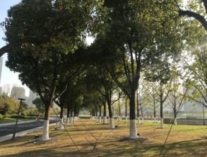 苏州市物业管理协会 