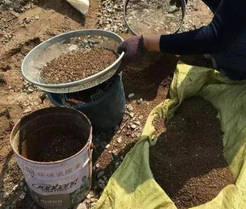 刚买的营养土能直接用吗_刚买的营养土要暴晒吗
