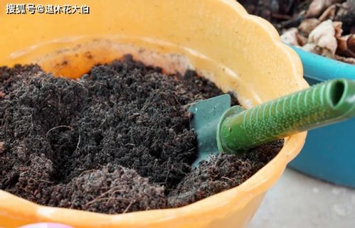 沤肥长蛆了可以直接拌土吗_蛆最怕的3个克星