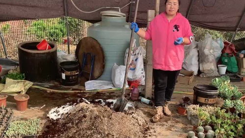 日常拌土方法,让你不用再去烦恼土质不好,让花死亡 