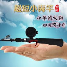 进口碳素海竿价格 进口碳素海竿批发 进口碳素海竿厂家 Hc360慧聪网 
