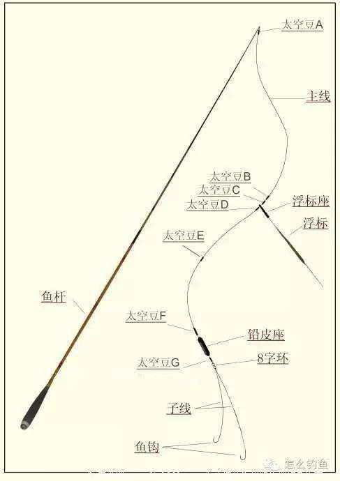 怎么组装鱼竿 