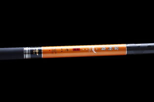 优惠凉爽来袭,一口价抢全尺寸鱼竿 