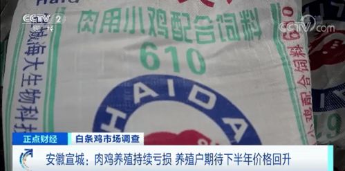 批发价大跌15 ,卖一只鸡亏10元 价格低迷何时能回暖