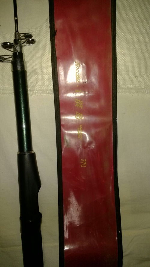 有一款鱼竿写着滨岛长270厘米是什么牌子的值多少钱